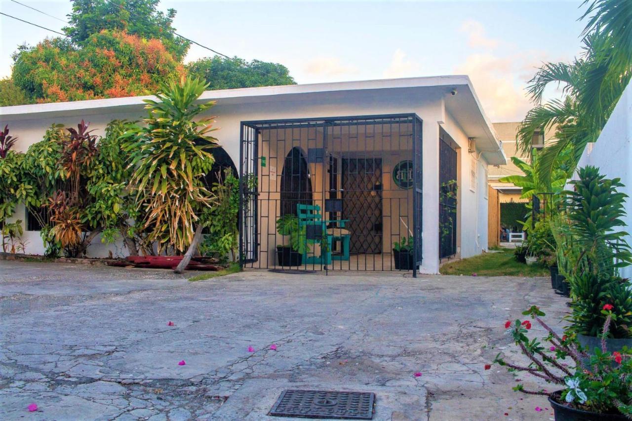 Eventuality B&B New Kingston Luaran gambar