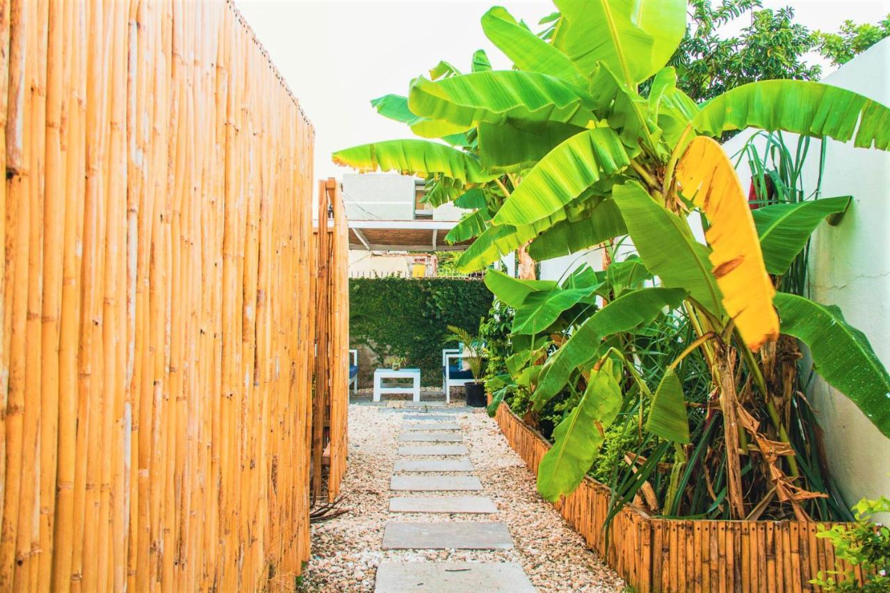 Eventuality B&B New Kingston Luaran gambar